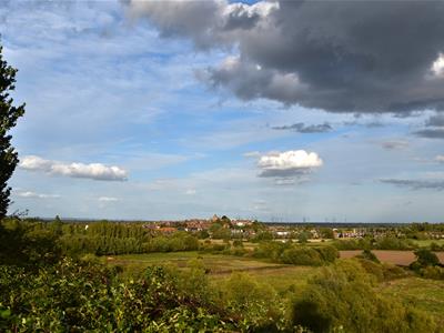 Picture 23